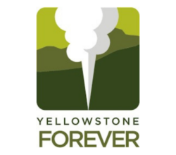 Yellowstone Forever